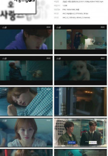 오늘도 사랑스럽개.E02.231011.1080p.H264-F1RST.mp4