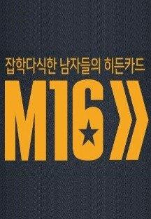 잡식남들의 히든카드 M16.E14.160419.HDTV.H264.720p-WITH