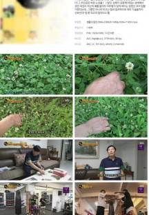 생활의 달인.E894.230626.1080p.H264-F1RST.mp4