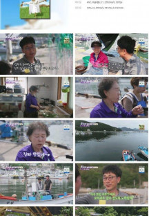 6시 내고향.E7801.230605.720p.H264-F1RST.mp4